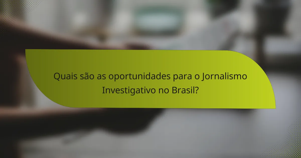 Quais são as oportunidades para o Jornalismo Investigativo no Brasil?